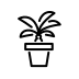 potted plant